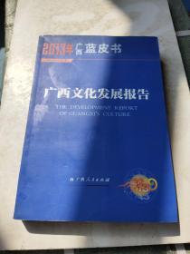 2013年广西蓝皮书——广西文化发展报告