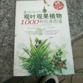 观叶观果植物1000种经典图鉴