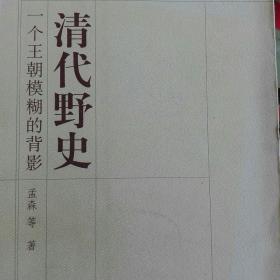 清代野史：一个王朝模糊的背影