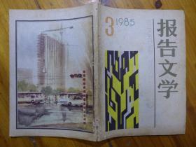 报告文学1985年第3期·张蓉芳《告别中国女排》高风《有那么一个小镇》