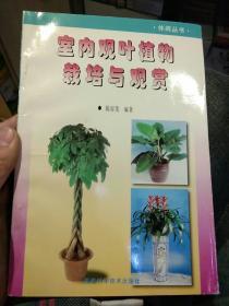 室内观叶植物栽培与观赏  陈容茂  编著  福建科学技术出版社9787533512071