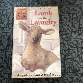 Lamb in the Laundry