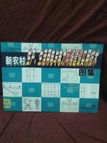 “十二五”国家重点图书出版规划新农村建设小康家园丛书：新农村生产、生活用电与电力网络建设实用技术图集