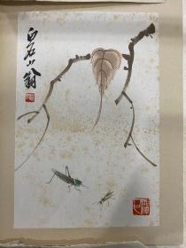 饿叟草虫 共10张手绘保老