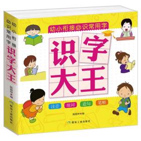 幼小衔接必识常用字识字大王