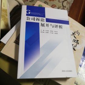 公司訴訟展開與評析