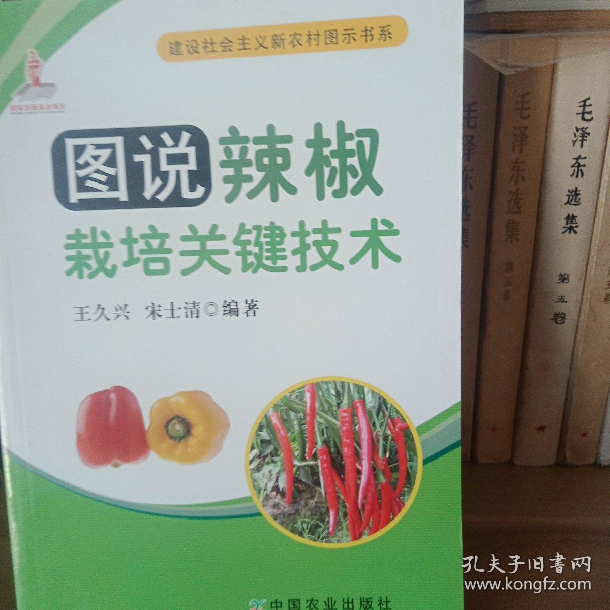 图说辣椒栽培关键技术