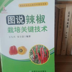图说辣椒栽培关键技术