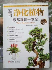 情趣生活系列：室内净化植物观赏栽培一本全