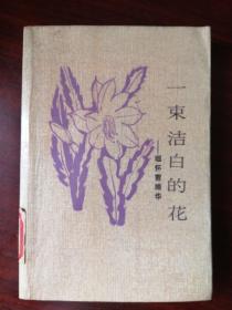 一束洁白的花_缅怀曹靖华