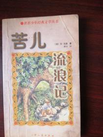 苦儿流浪记