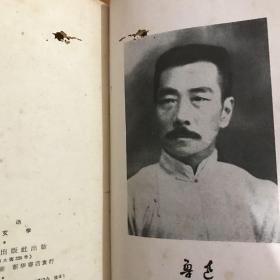 鲁迅论文学