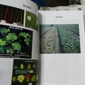 测土配方施肥补贴项目操作指南