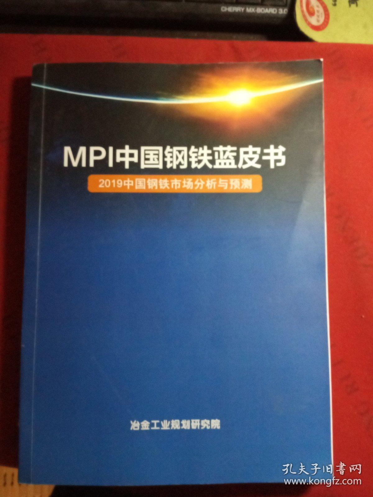 MPI中国钢铁蓝皮书 2019中国钢铁市场分析与预测