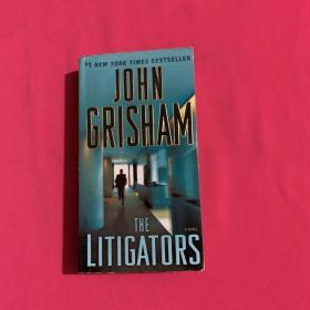 The Litigators  A Novel