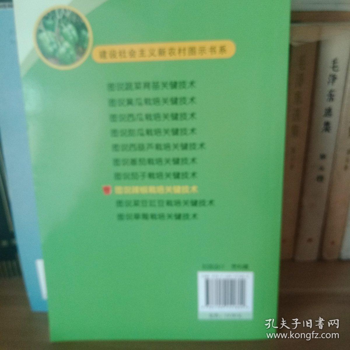 图说辣椒栽培关键技术