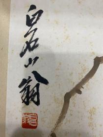 饿叟草虫 共10张手绘保老