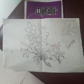 70年代苏州丝织试样厂一一手绘白描花卉图案，共16张。