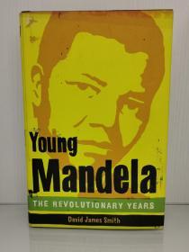 革命岁月：青年时代的曼德拉  Young Mandela : The Revolutionary Years by David James Smith （非洲研究）英文原版书