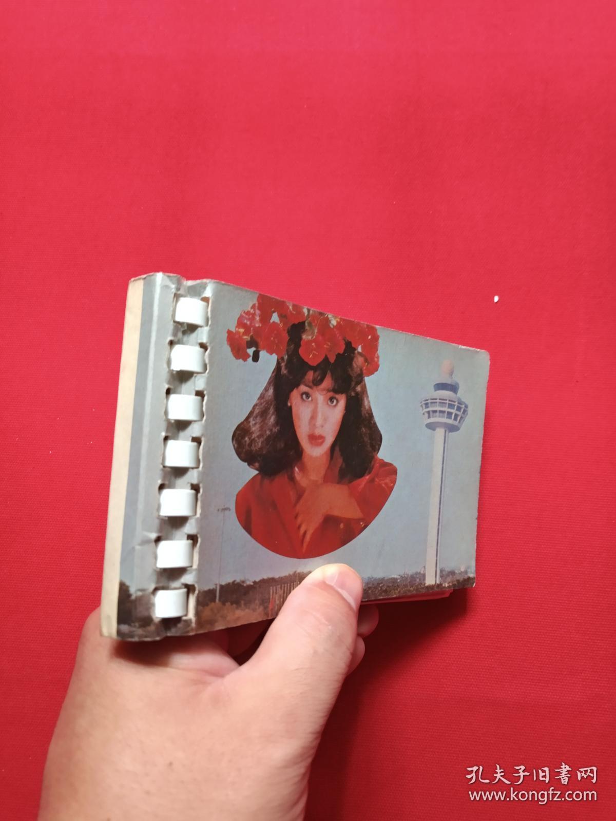 原况单本成册老相册发布第100----中国科学院力学研究所原党委书记、建筑学家、中国建筑学会名誉理事、中国风景园林学会顾问、中国圆明园学会副会长：汪之力老同志生前珍藏妻邵氏等1987-1994年（中日传统民居学术研讨会、中日住宅学术座谈会92.4.2，吴良镛、任震英、左左波秀彦、阮仪三、邵华郁、邬天柱）建筑会议、考察调查、旅行照（红色美女封面）一册共52张彩色老照片、老影集、老像片、老资料、老档案