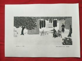 户县农民画选~黑白色复印（30张散页全）