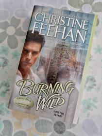 Burning Wild Leopard People Series : Book 3