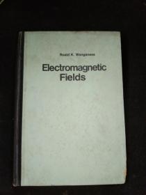 Electromagnetic Fields
