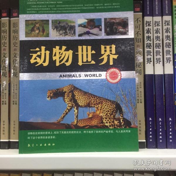 动物世界