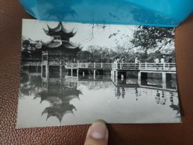 老照片：宜昌各个风景区的黑白照片    共7张合售      黑白照片箱 00029