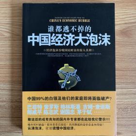 谁都逃不掉的中国经济大泡沫