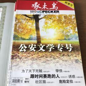 啄木鸟 公安文学专号2012(秋季号)