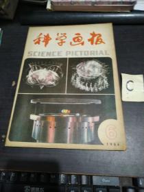 科学画报 1984年6期