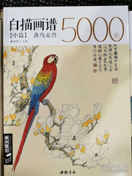 白描画谱5000例中篇(禽鸟走兽)/经典全集系列丛书