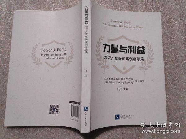 力量与利益：知识产权保护案例启示录