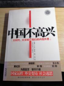 中国不高兴：大时代大目标及我们的内忧外患