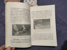 毒蛇咬伤的防治 广州部队蛇伤防治研究小组编写 1975年一版一印