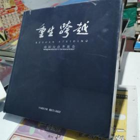 重生跨越—绵阳向世界报告