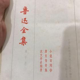 鲁迅全集（10）