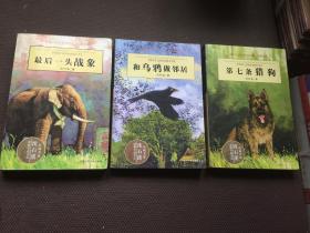 最后一头战象（动物小说大王沈石溪品藏书系）＋和乌鸦做邻居＋第七条猎狗＋混血豺王 [四本合售]