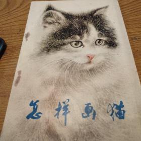 怎样画猫.