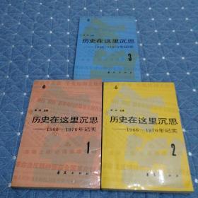 历史在这里沉思———1966—1976年纪实（1-2-3）