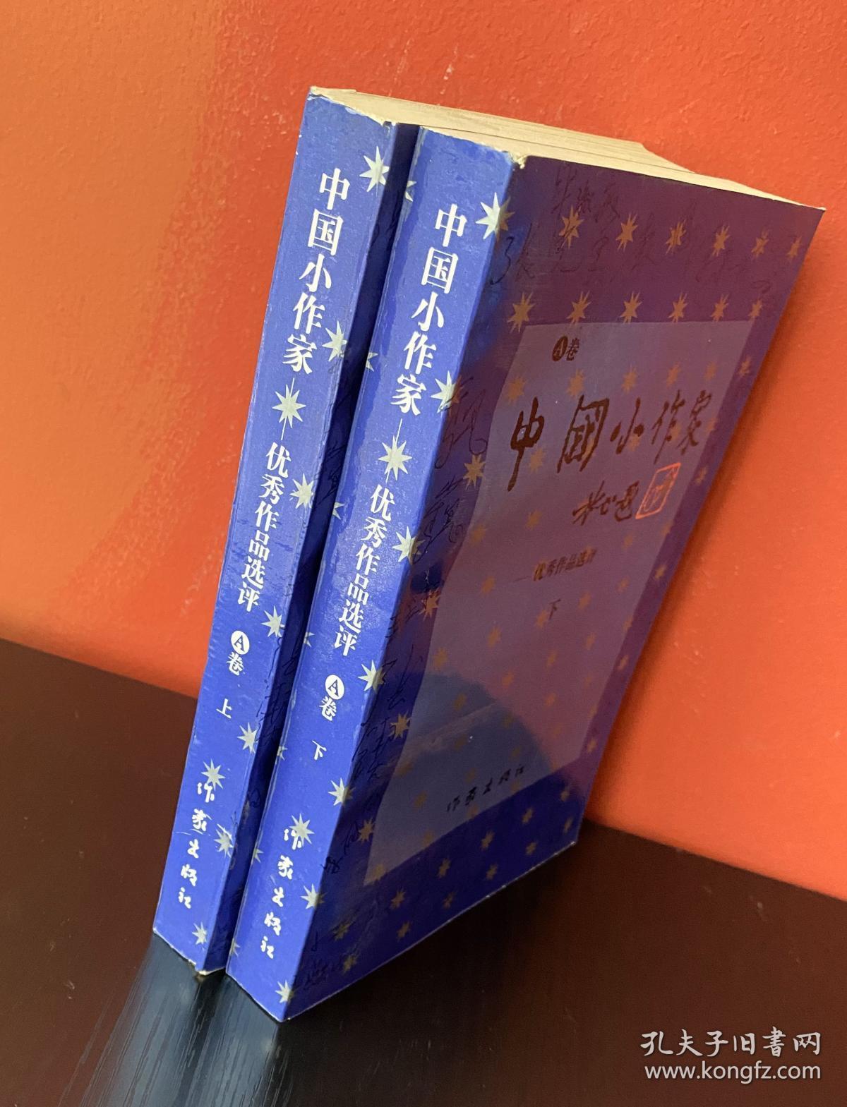 中国小作家 - 优秀作品选评 A卷 【上下册】一版一印