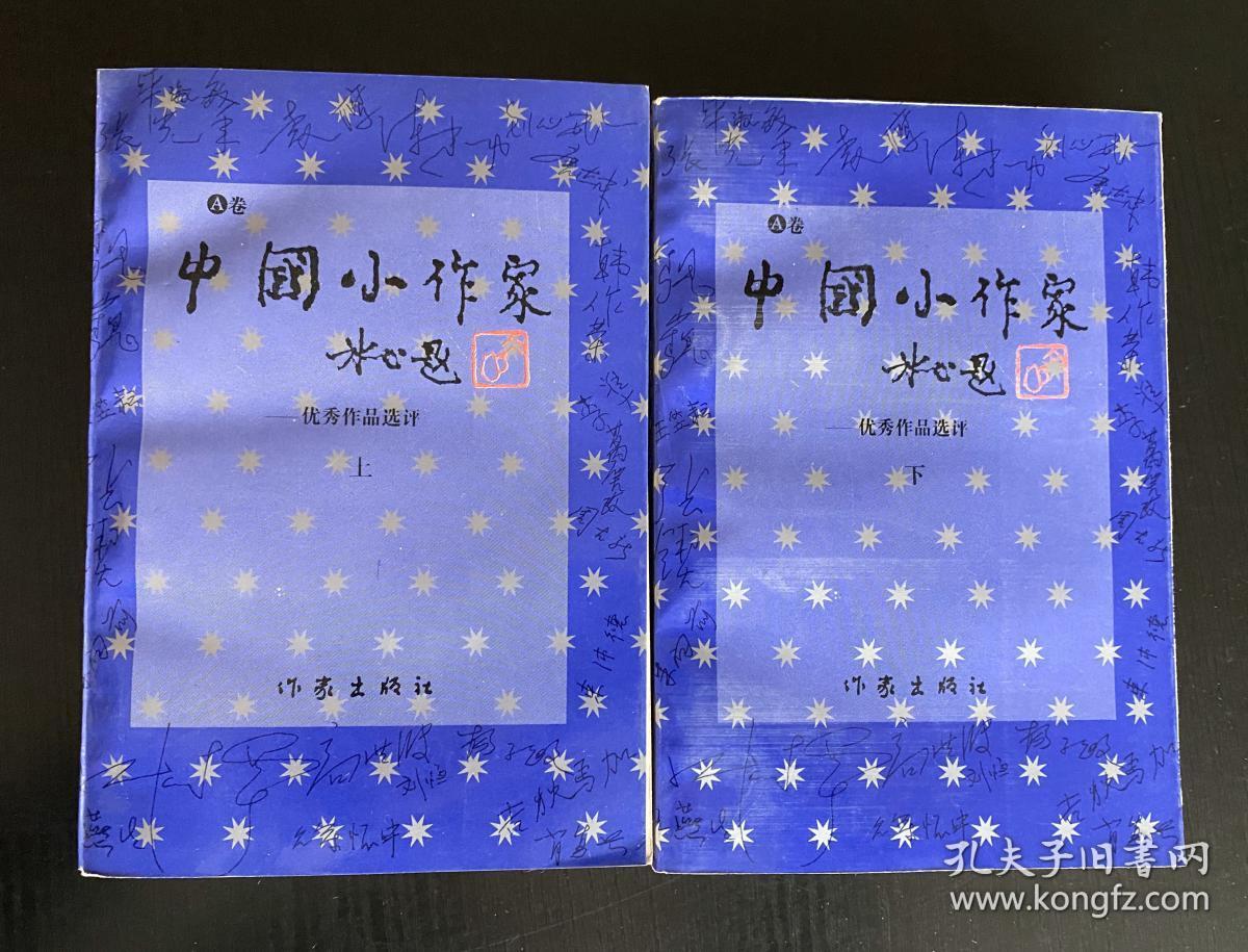 中国小作家 - 优秀作品选评 A卷 【上下册】一版一印