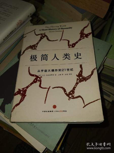 极简人类史：从宇宙大爆炸到21世纪