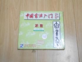 VCD 中国书法入门  篆书（未拆封）