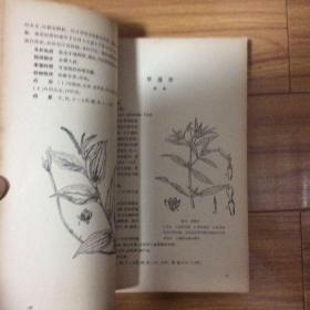 湖南中兽医药物集（16开443页）1961年一版一印