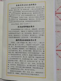 东岳大帝经集，东岳大帝，东岳淑明后，东岳大生宝忏，元始天尊说东岳化身济生度死拔罪解冤保命玄范诰咒妙经，五岳大帝总诰、东岳大帝宝训、东岳大帝宝诰、东岳皇后宝诰、东岳太子宝诰、碧霞元君宝诰。