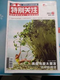 特别关注2013/07