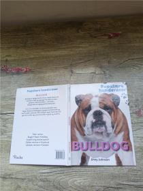 Populaere Hunderacer Bulldog【精装】