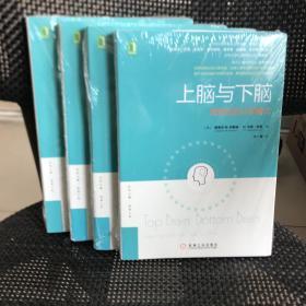 上脑与下脑：找到你的认知模式：世界顶级认知心理学家、哈佛大学教授基于全新的脑科学研究成果，帮助你找到自己的认知模式